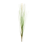 Elegant Foxtail Bush Set - 12 Timeless Stems