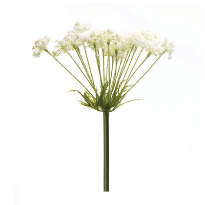 Queen Anne's Lace Decor Stem Set