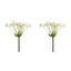 Queen Anne's Lace Decor Stem Set