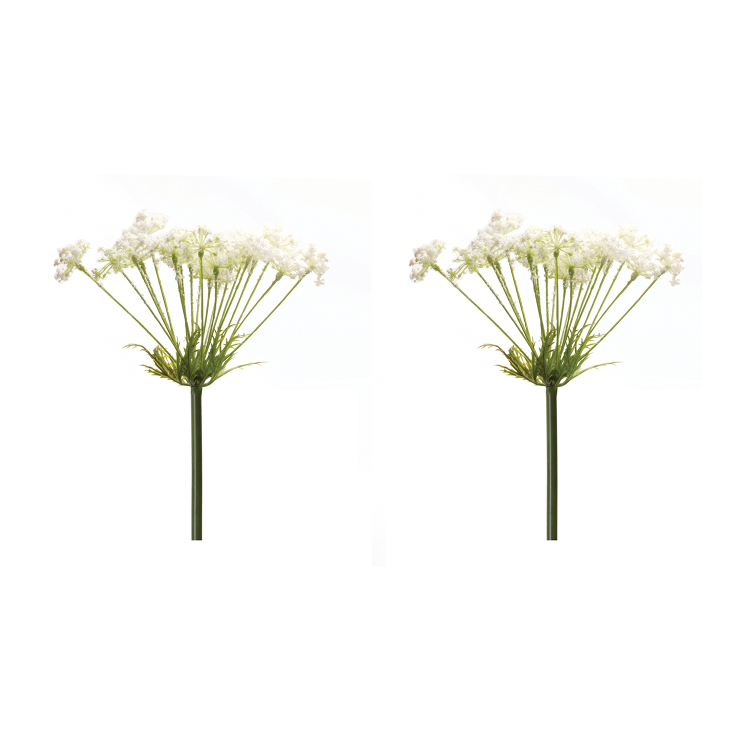 Queen Anne's Lace Decor Stem Set