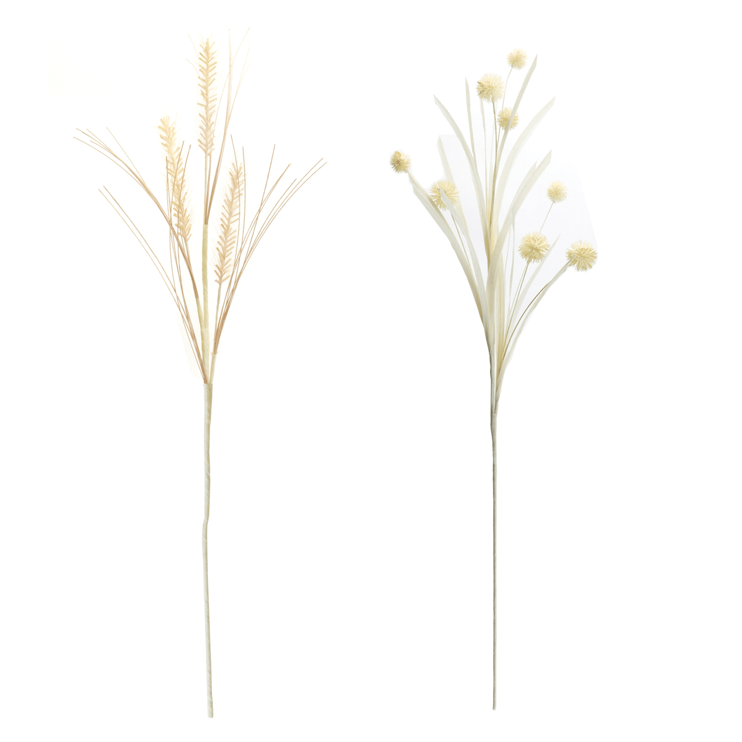 Foxtail And Pod Plastic Spray - Set Of 12