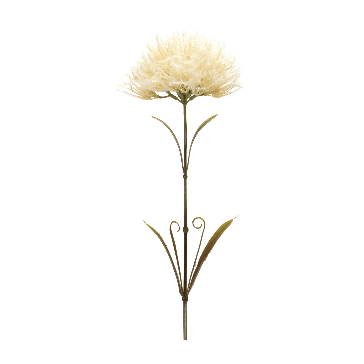 Puff Stem Set Of 6 - Durable Plastic Floral Decor