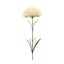Puff Stem Set Of 6 - Durable Plastic Floral Decor