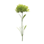 Puff Stem Set Of 6 - Durable Plastic Floral Decor