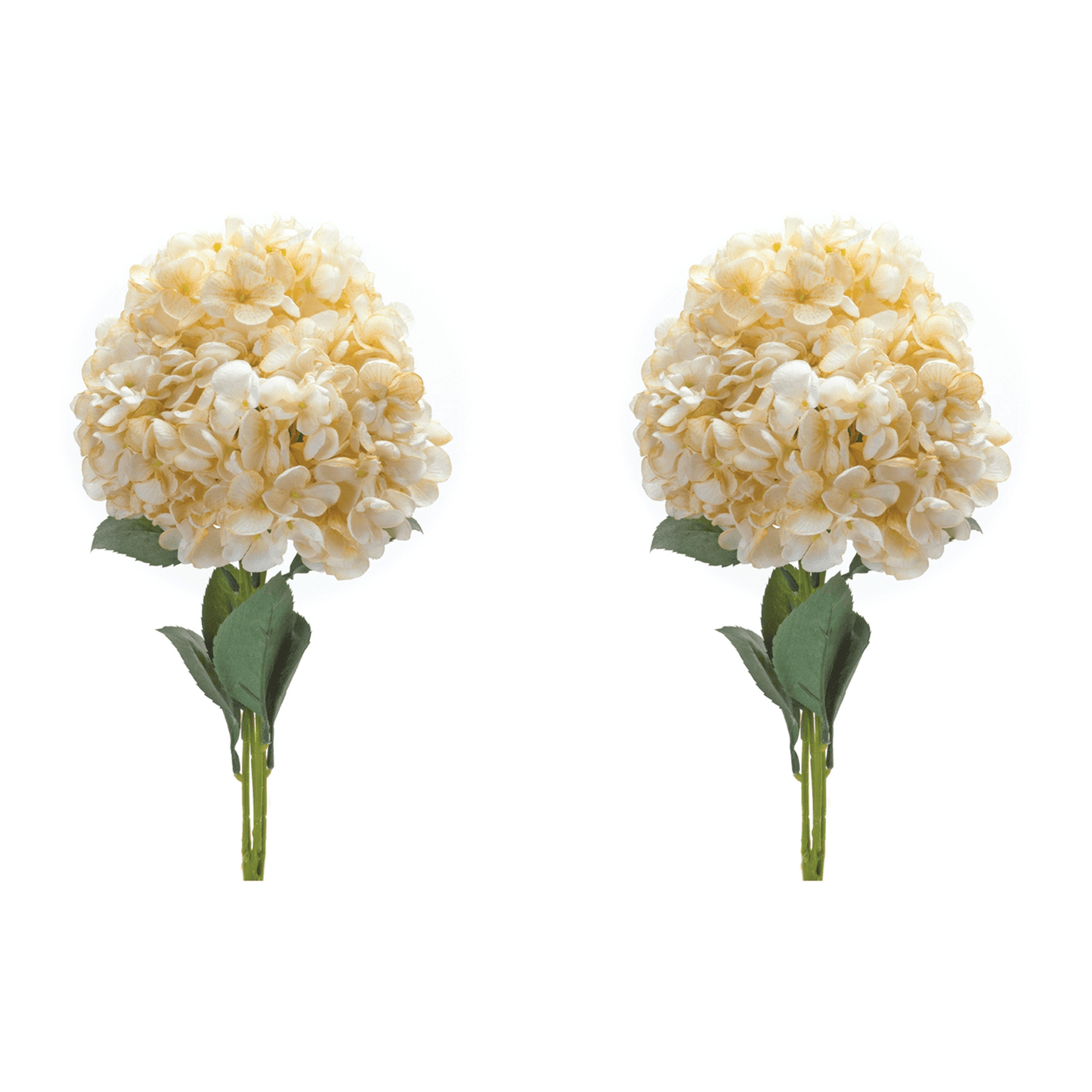 Elegant Hydrangea Bush Set In White And Green
