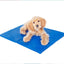 Rechargeable Pet Cooling Mat with Non-Toxic Gel - Versatile, Durable Design