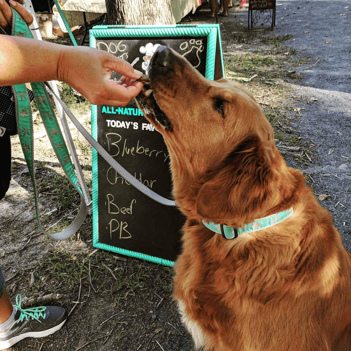 Wheat Free Blueberry & Pumpkin Dog Treats