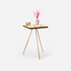 Tantric Reclaimed Wood Side Table With Brass Legs