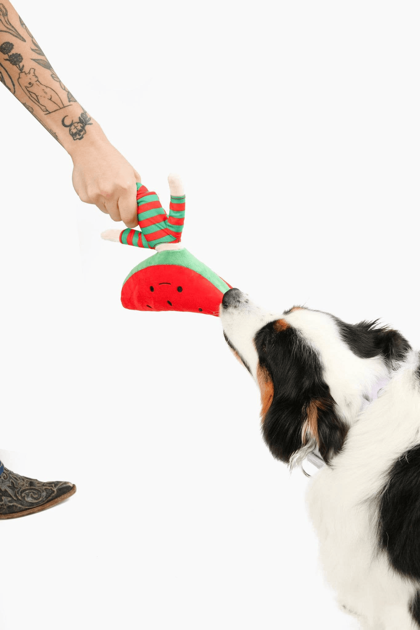 Watermelon Treat-Dispenser Nosework Toy for Dogs