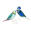 Swarovski Jungle Beats Parakeet Couple Fife & Fifer Crystal Figurine