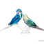 Swarovski Jungle Beats Parakeet Couple Fife & Fifer Crystal Figurine