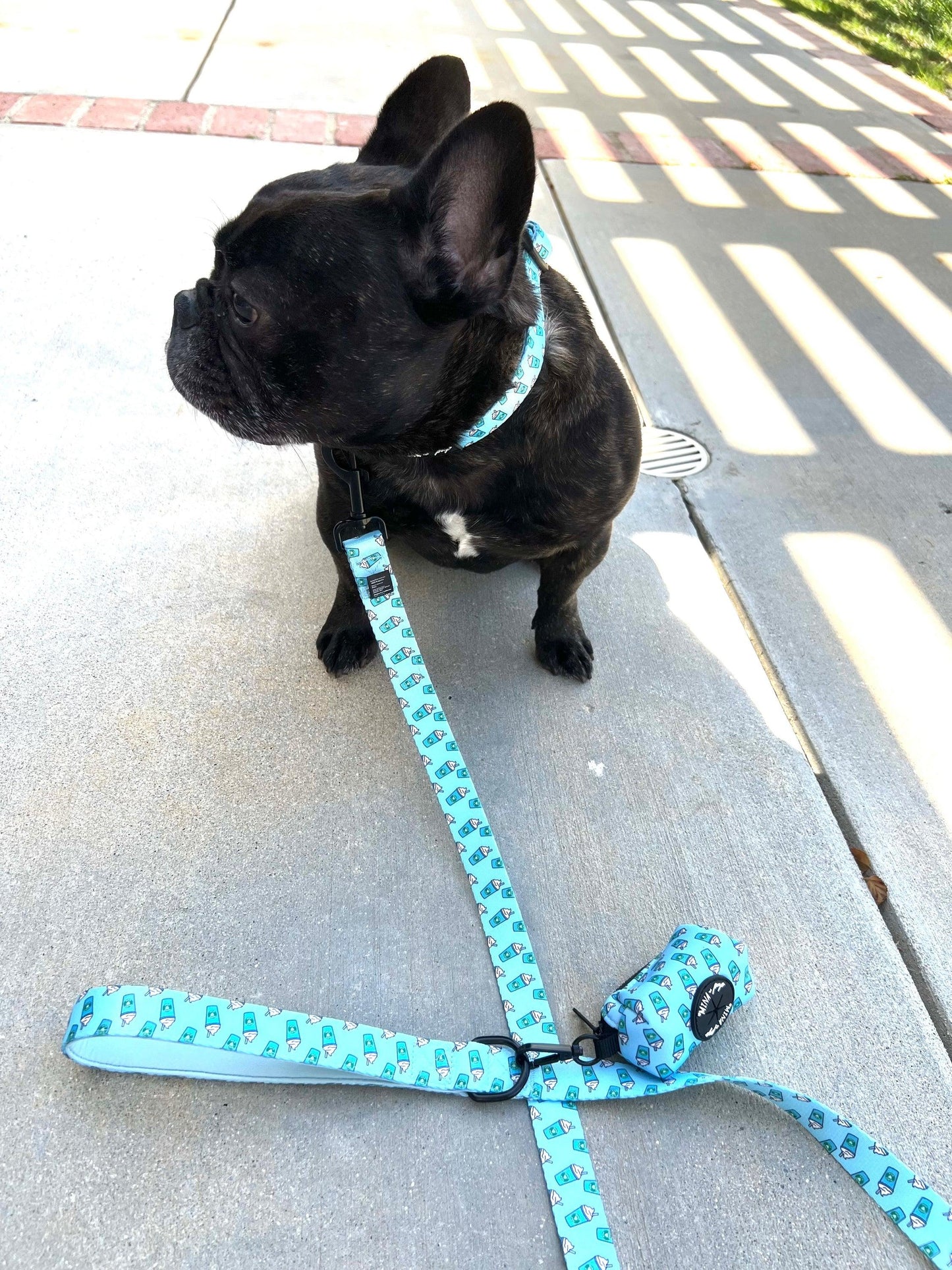 Pupshake Blue Comfort Collar with Neoprene Padding