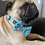 Pupshake Blue Bow Tie: Classy and Versatile Pet Accessory