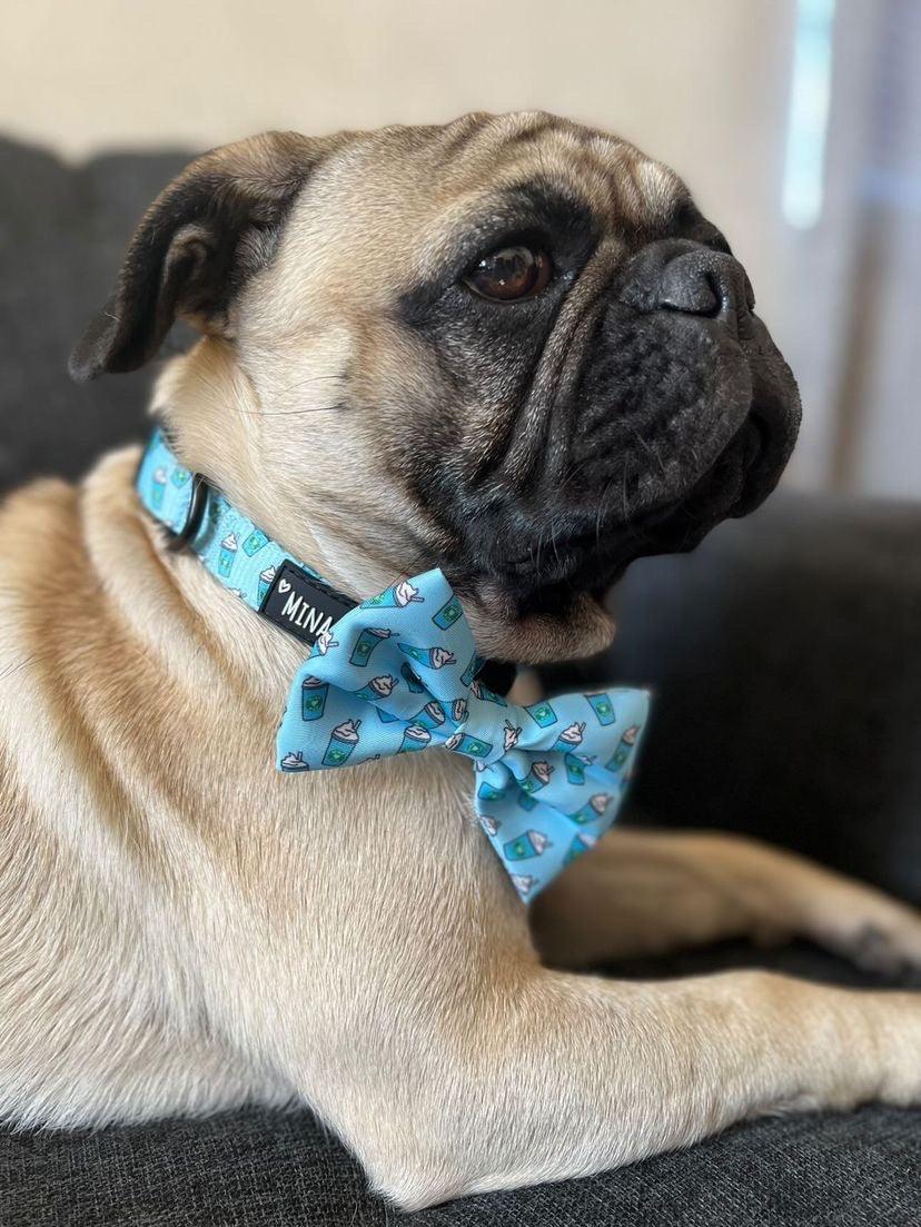 Pupshake Blue Bow Tie: Classy and Versatile Pet Accessory