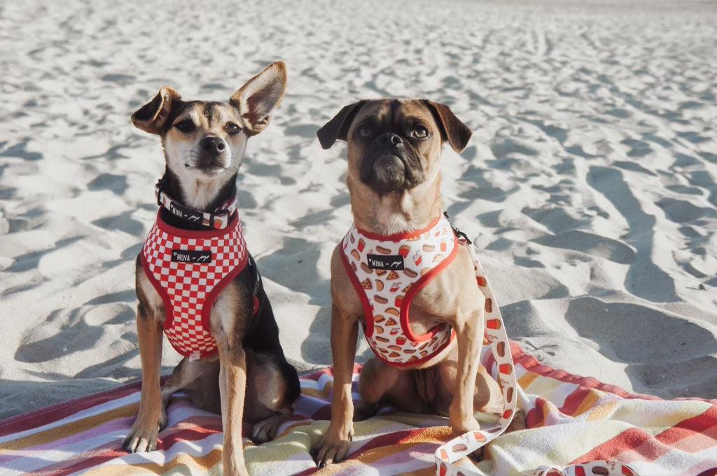 Mina Drive-In Diner Reversible Dog Harness