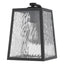 Hirche 1-Light Matte Black Wall Light