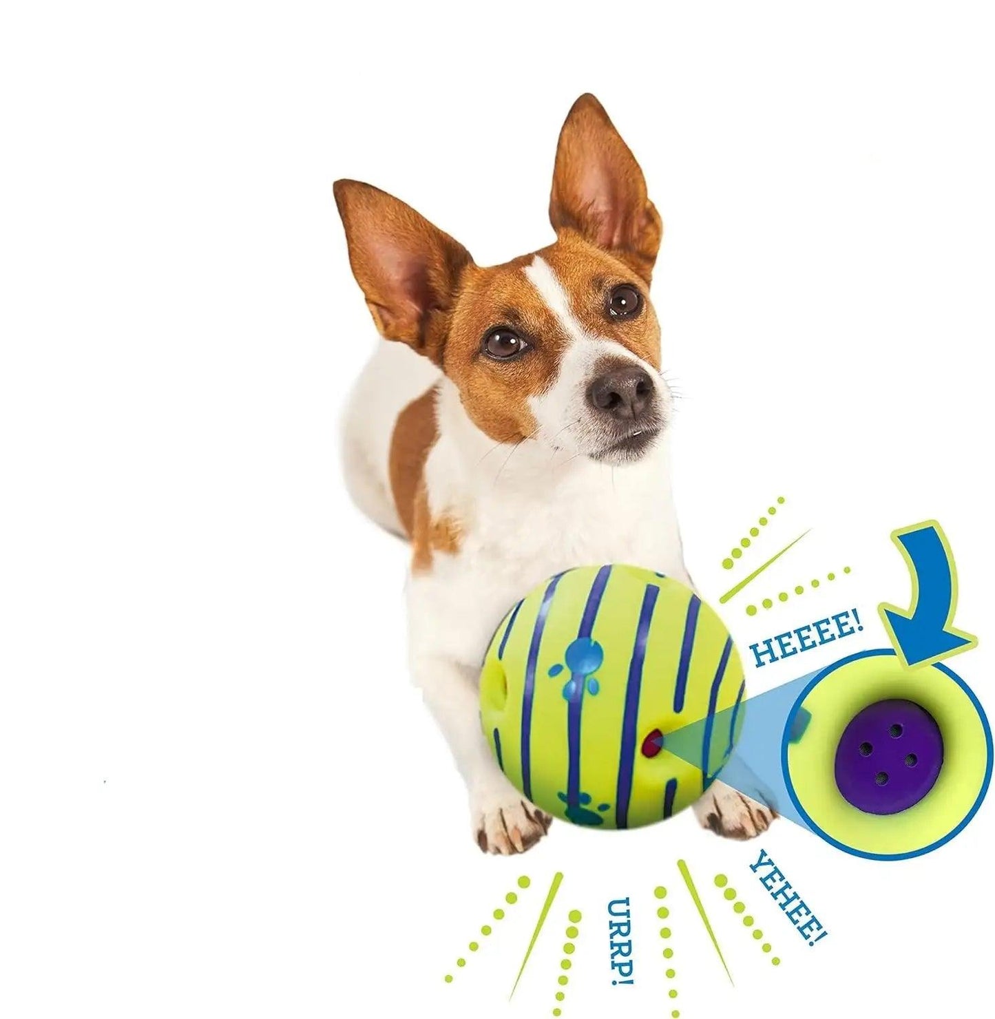 Wobble Wag Giggle Glow Ball: Illuminating Fun for Your Pup