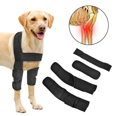 Veterinary-Approved Dog Leg Brace