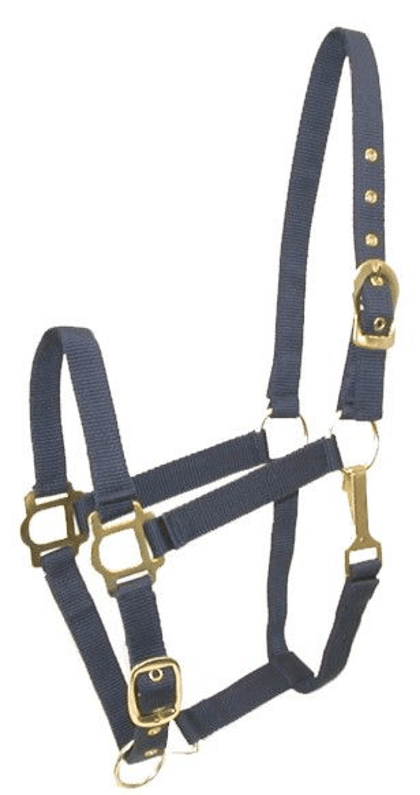 Gatsby Adjustable Nylon Halter with Snaps and Brass-Plated Hardware