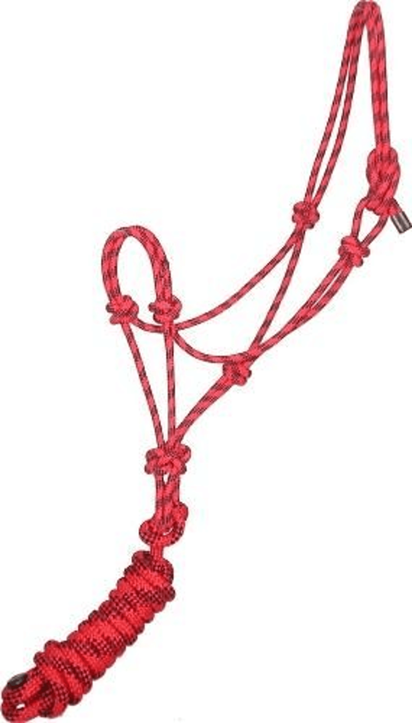 Gatsby Classic Cowboy Rope Halter with Lead