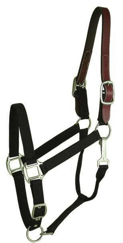 Gatsby Classic Nylon Breakaway Halter with Snap Closure