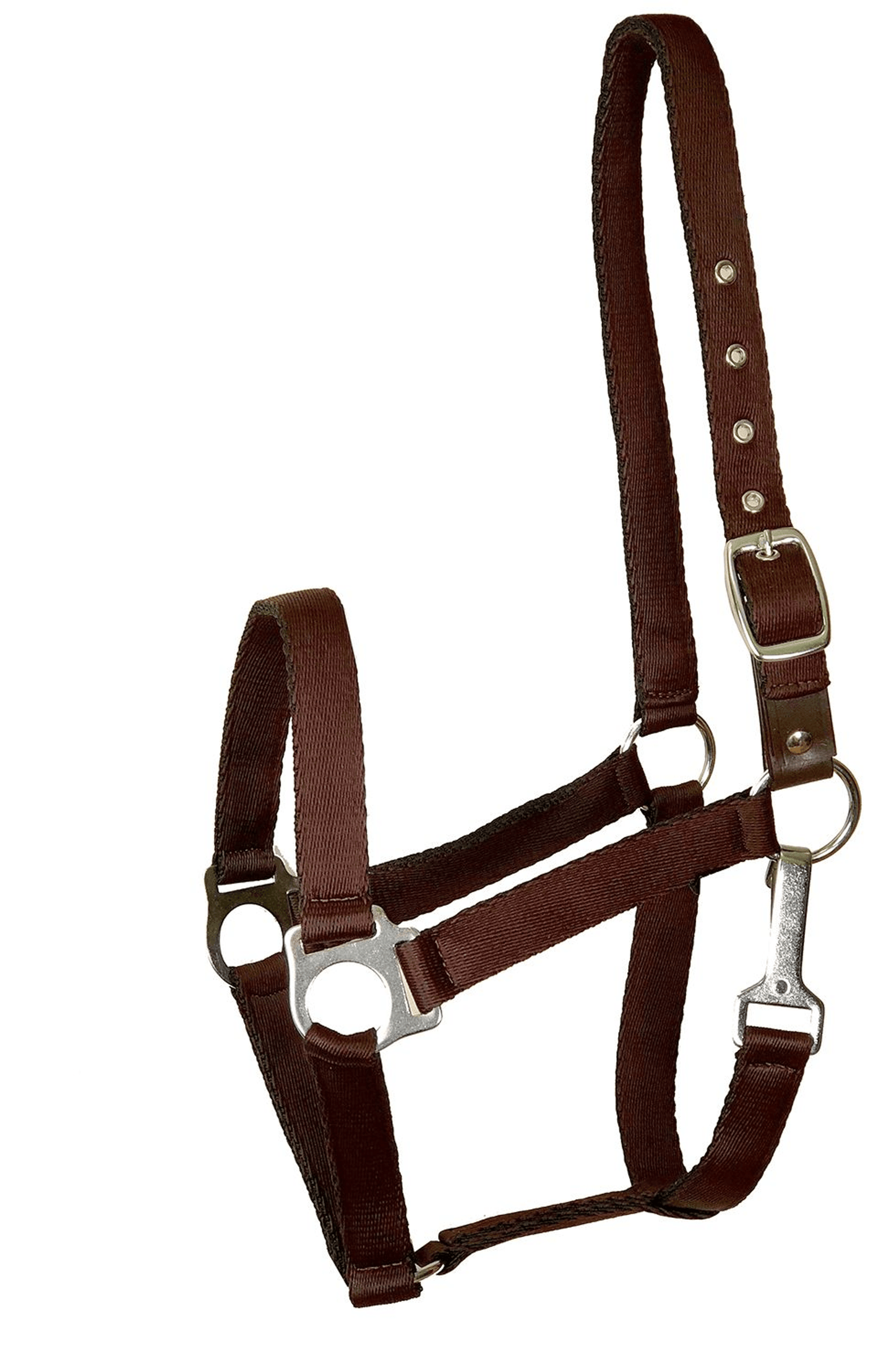 Gatsby Ultra Soft Safety Halter with Breakaway Leather Feature