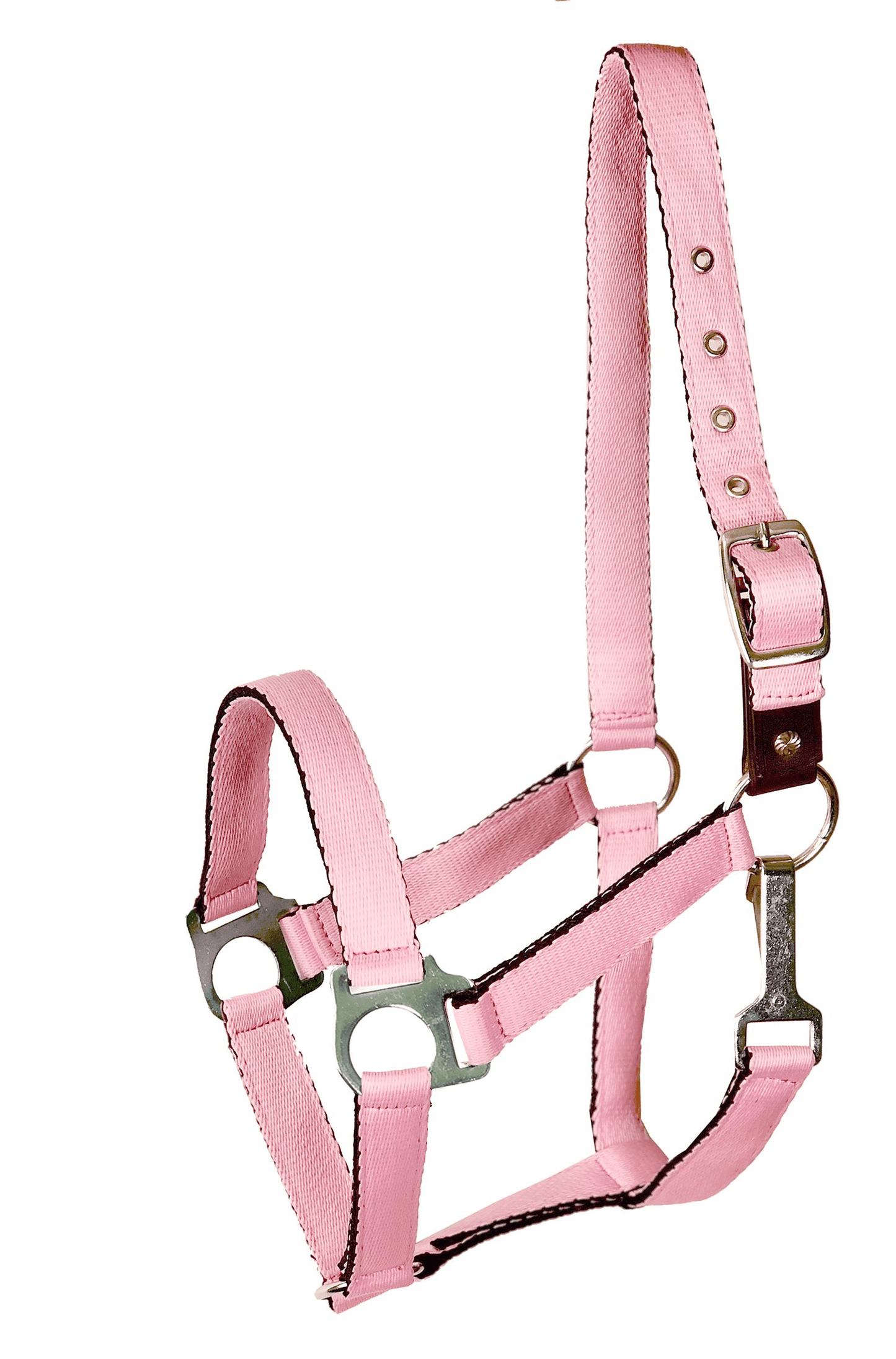 Gatsby Ultra Soft Safety Halter with Breakaway Leather Feature