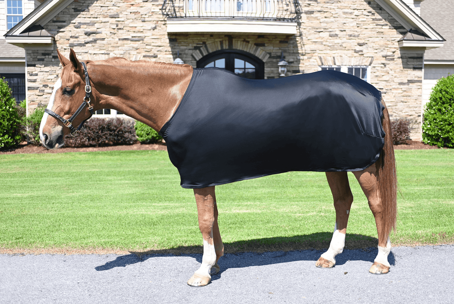 Gatsby Lycra Full Sheet for Horses