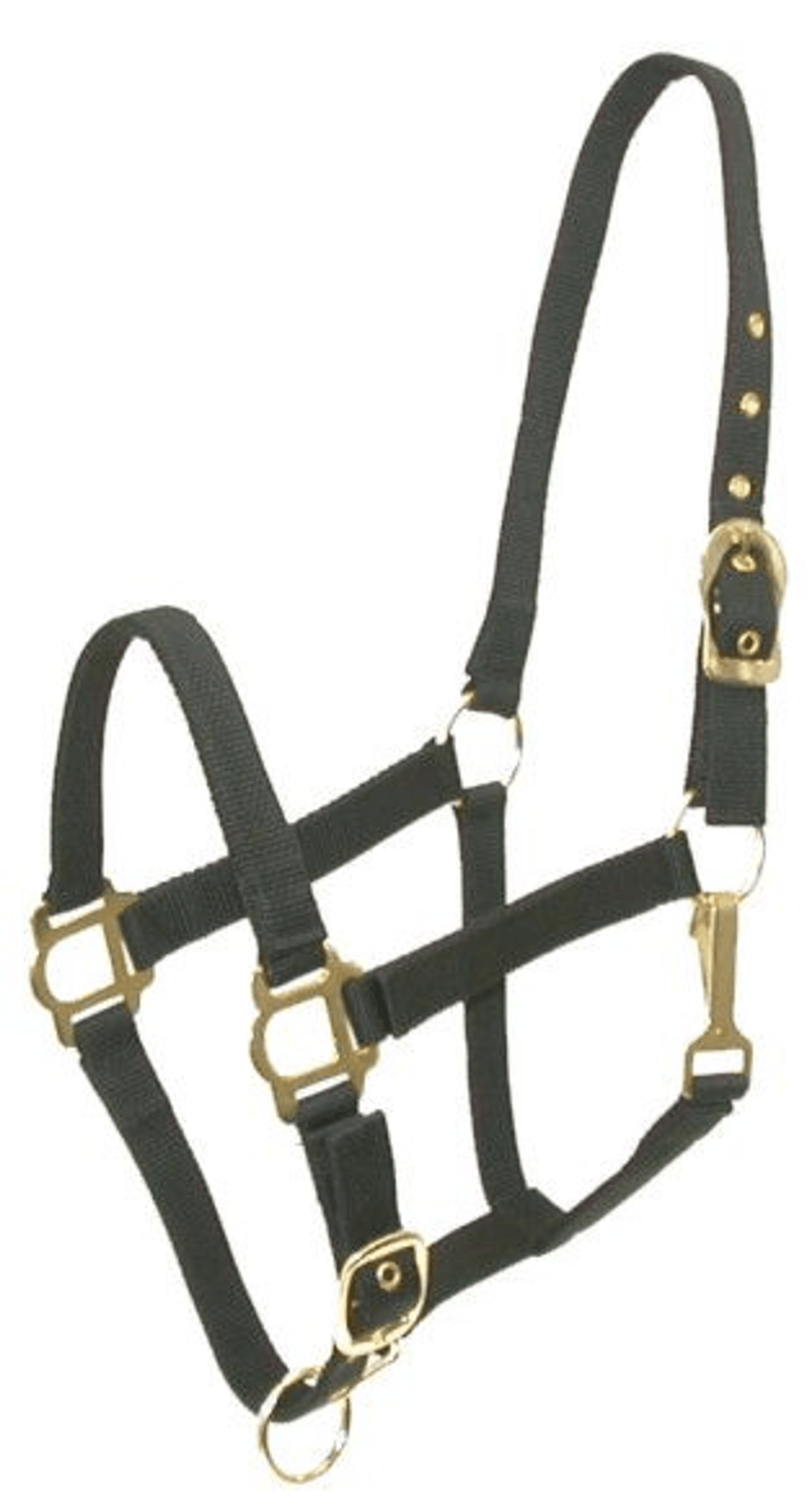 Gatsby Adjustable Nylon Halter with Snaps and Brass-Plated Hardware