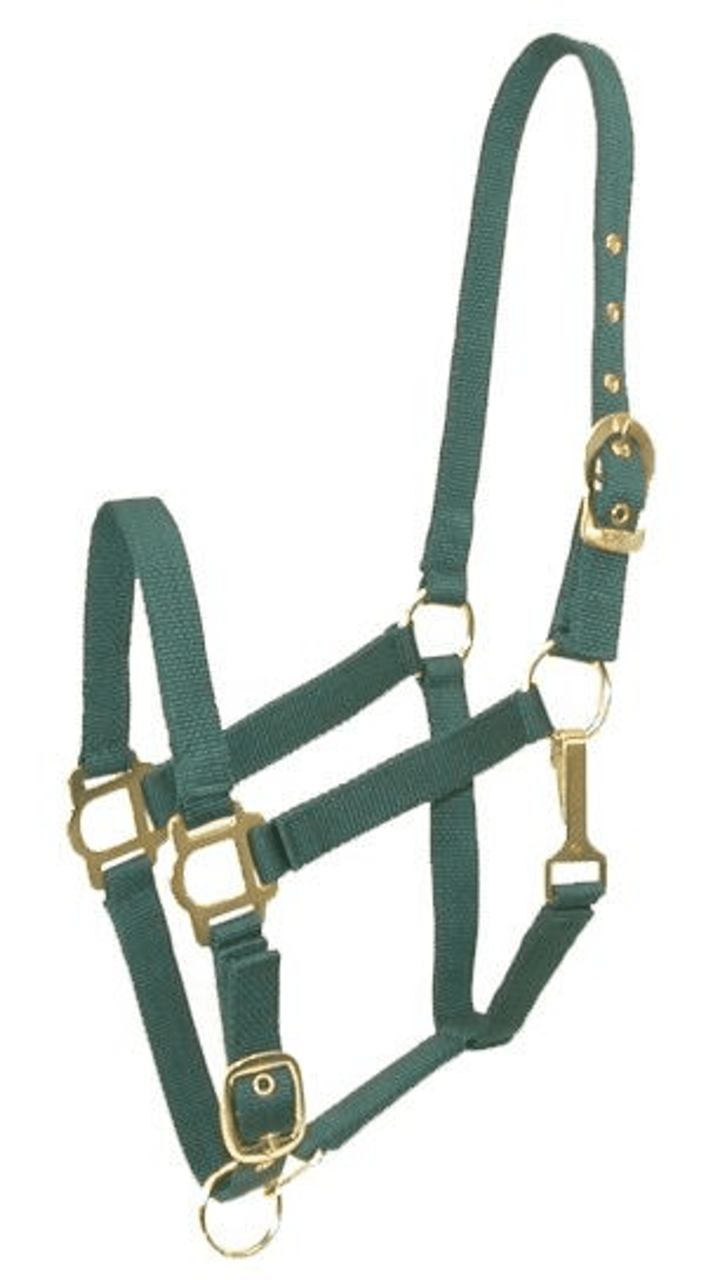 Gatsby Adjustable Nylon Halter with Snaps and Brass-Plated Hardware