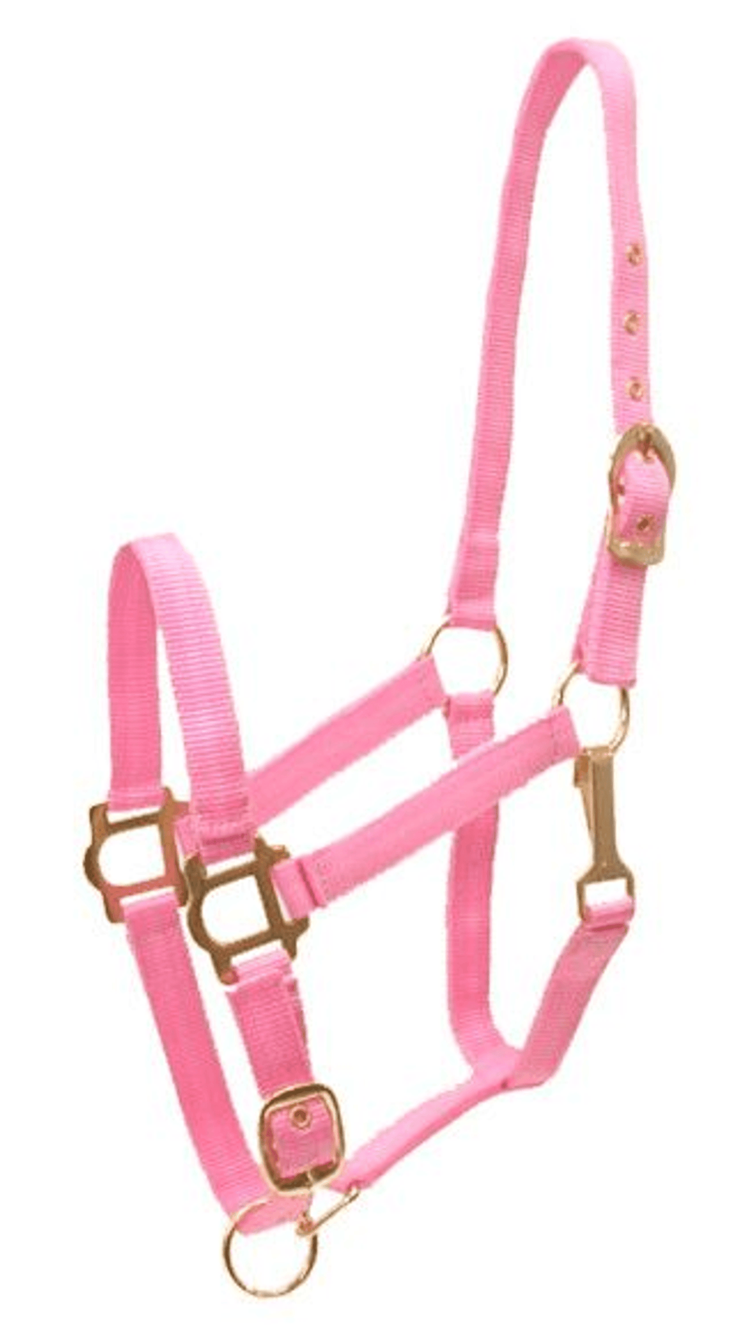 Gatsby Adjustable Nylon Halter with Snaps and Brass-Plated Hardware