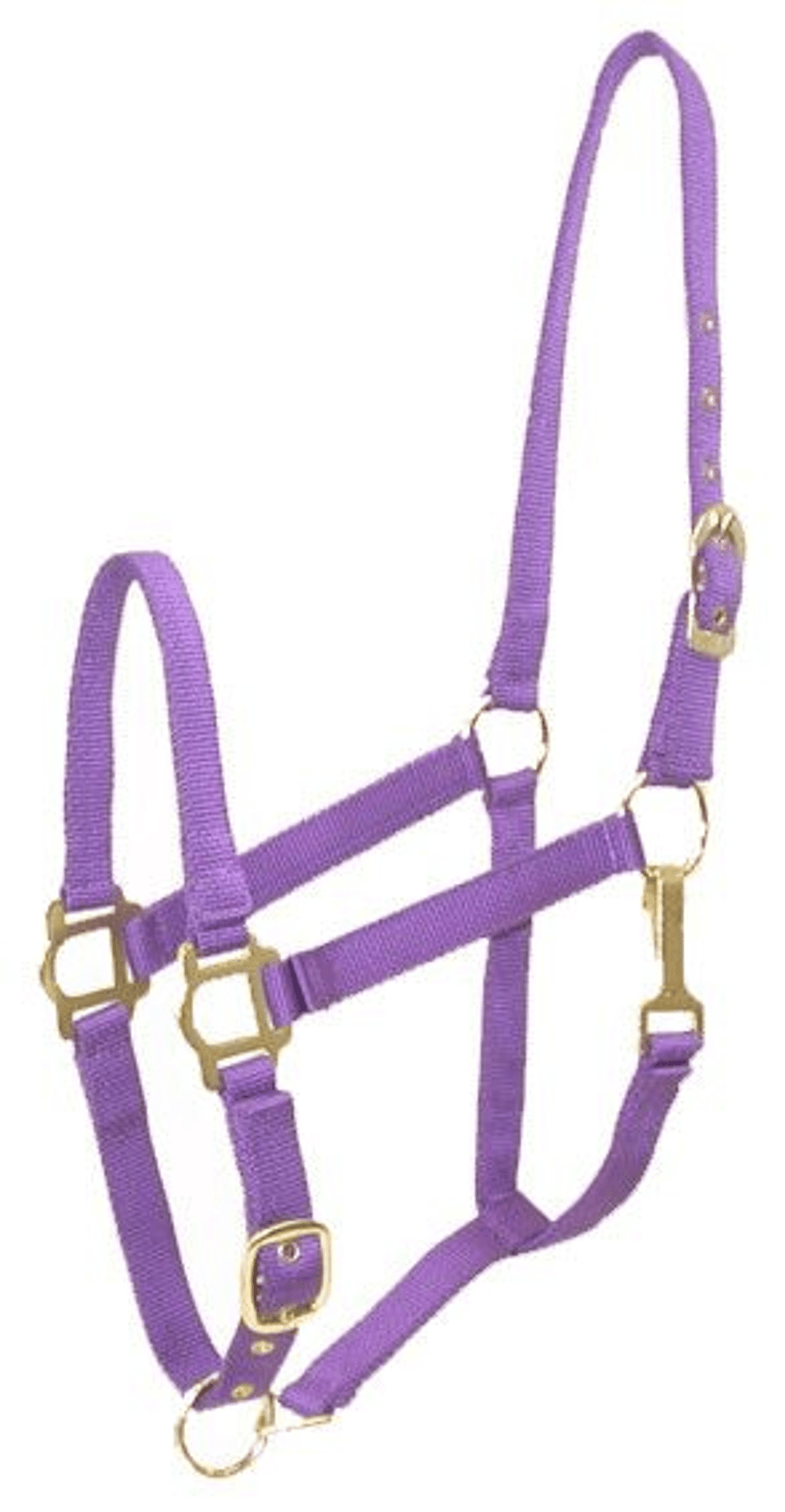 Gatsby Adjustable Nylon Halter with Snaps and Brass-Plated Hardware