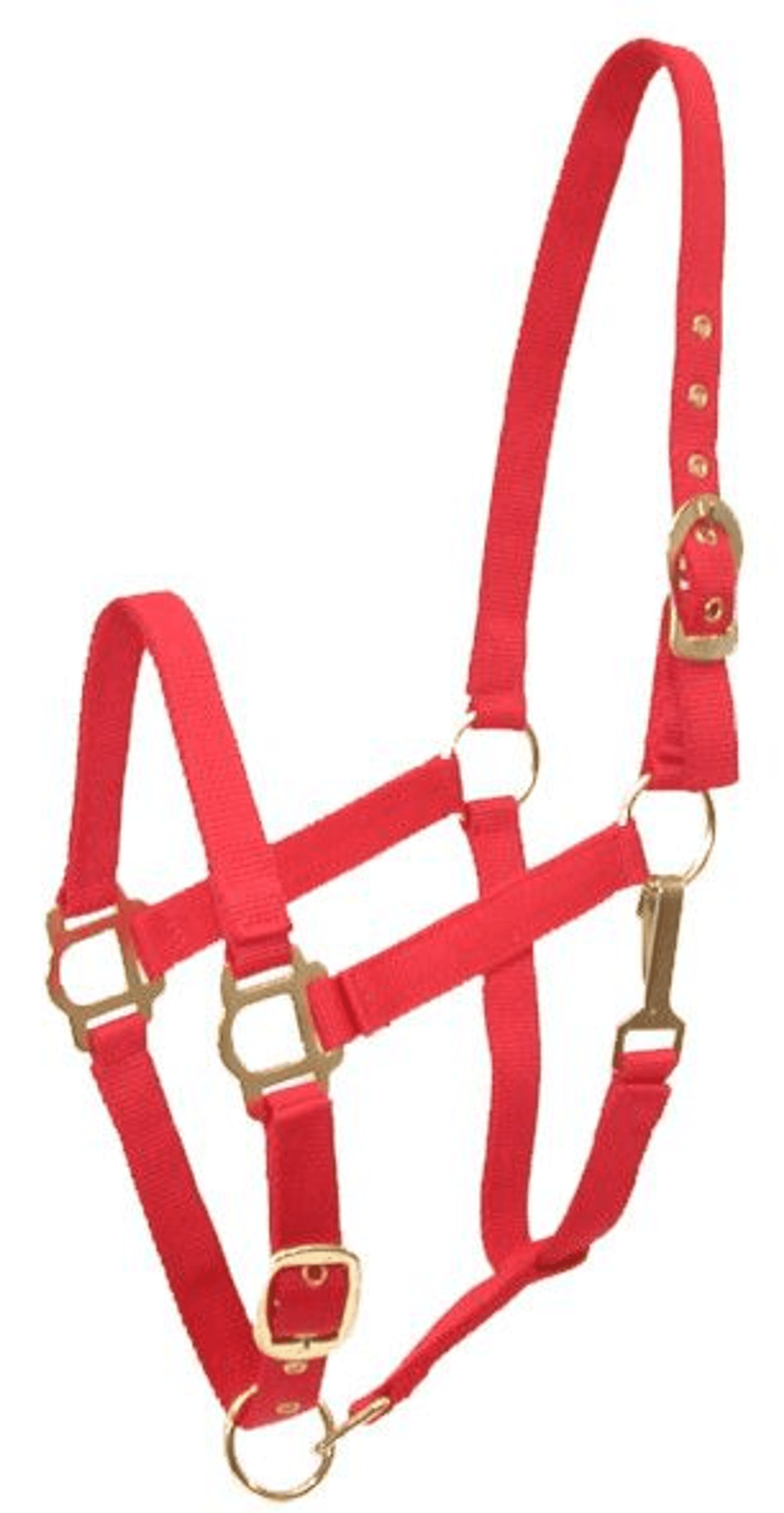 Gatsby Adjustable Nylon Halter with Snaps and Brass-Plated Hardware