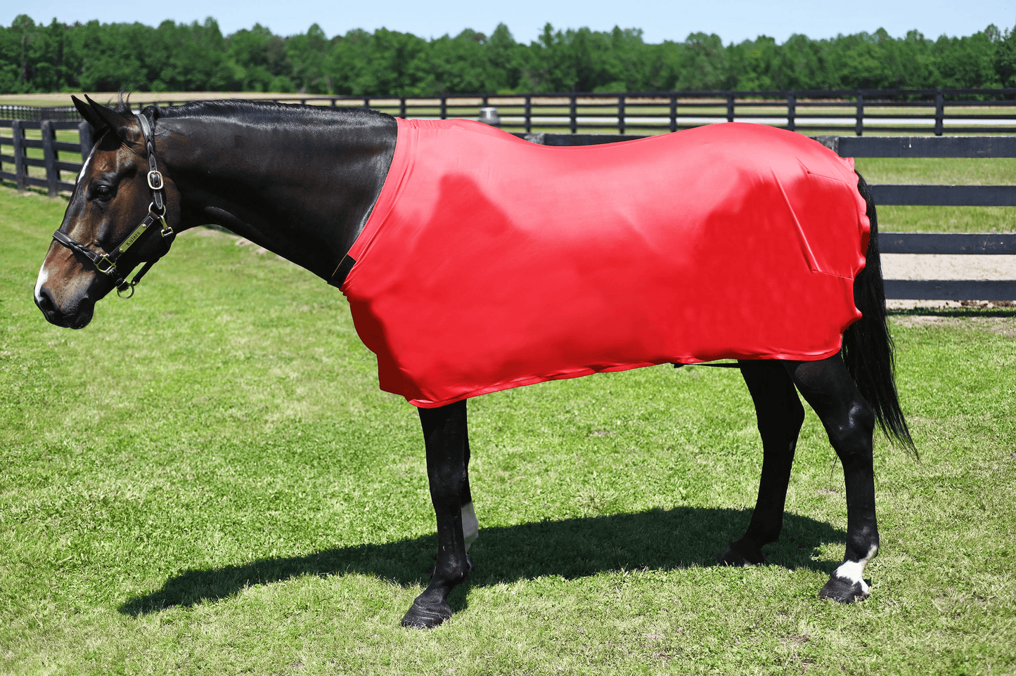 Gatsby Lycra Full Sheet for Horses