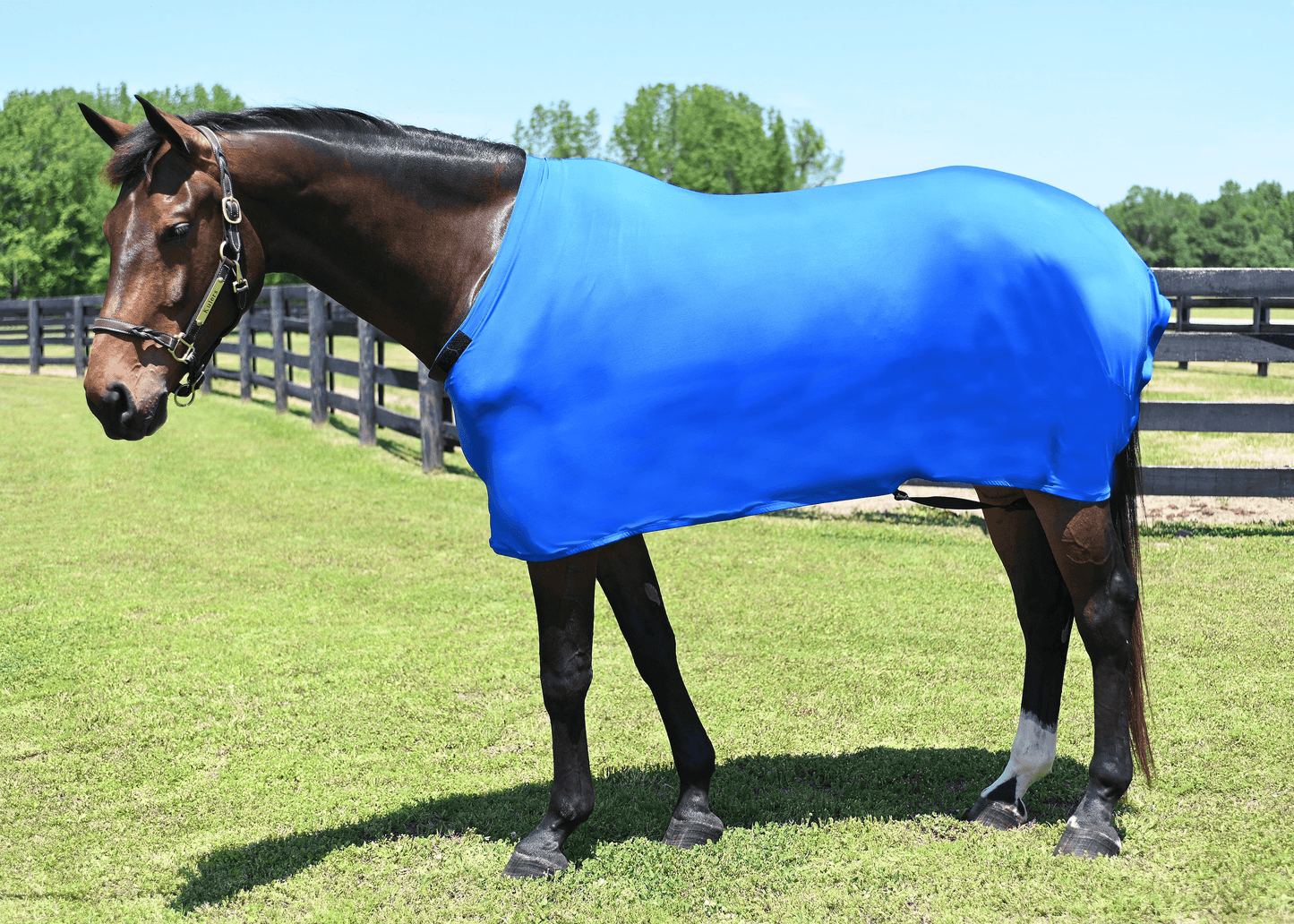 Gatsby Lycra Full Sheet for Horses