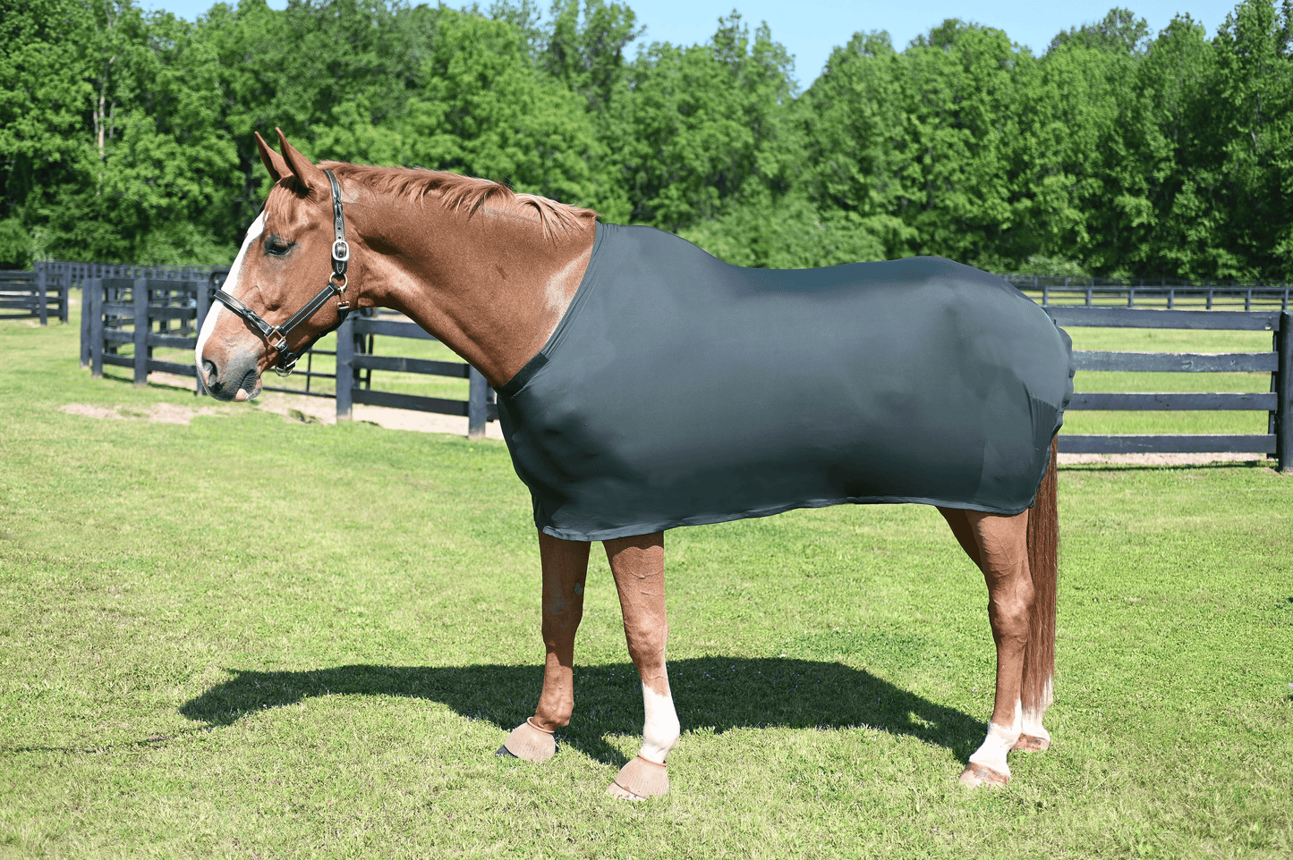 Gatsby Lycra Full Sheet for Horses