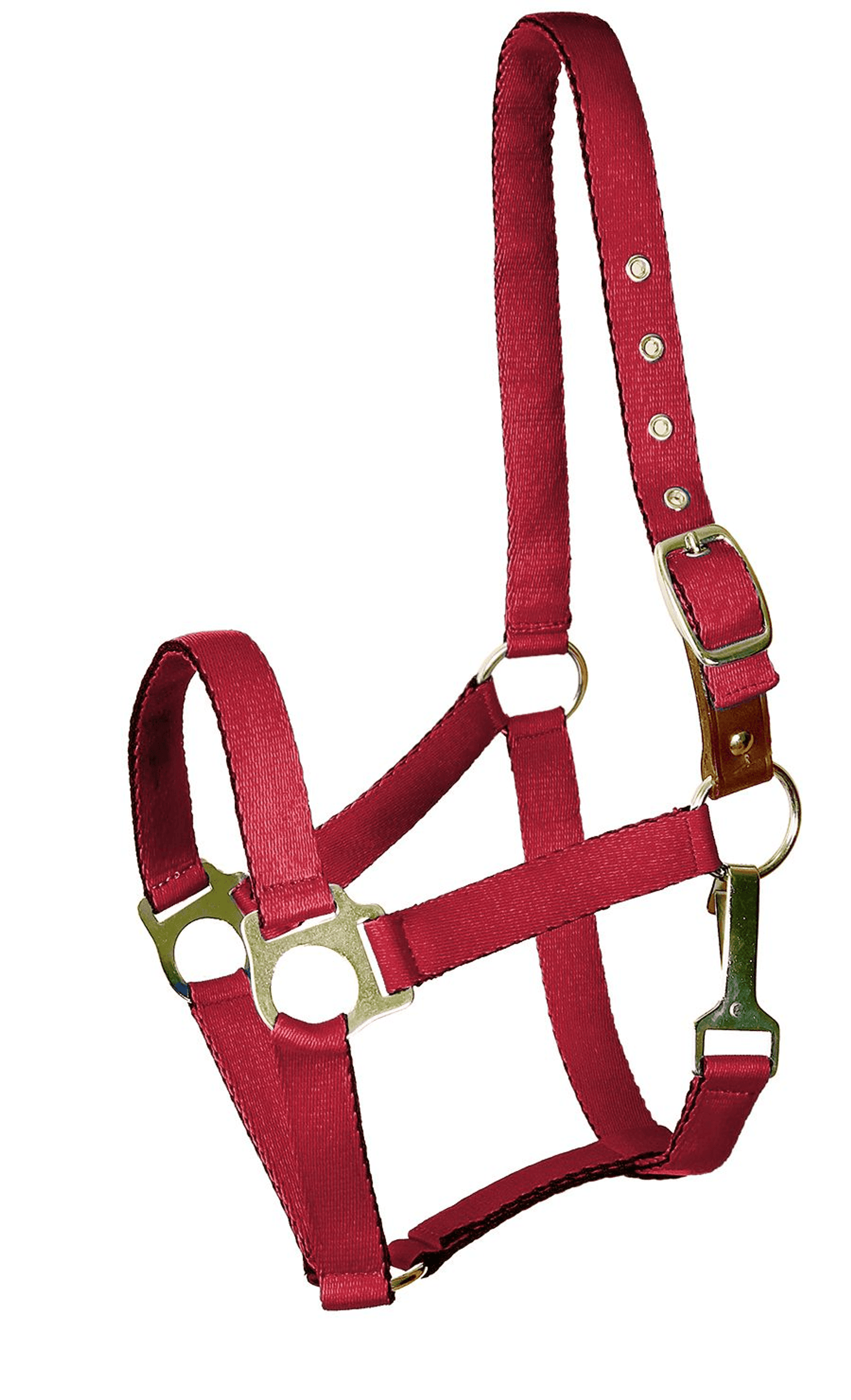 Gatsby Ultra Soft Safety Halter with Breakaway Leather Feature