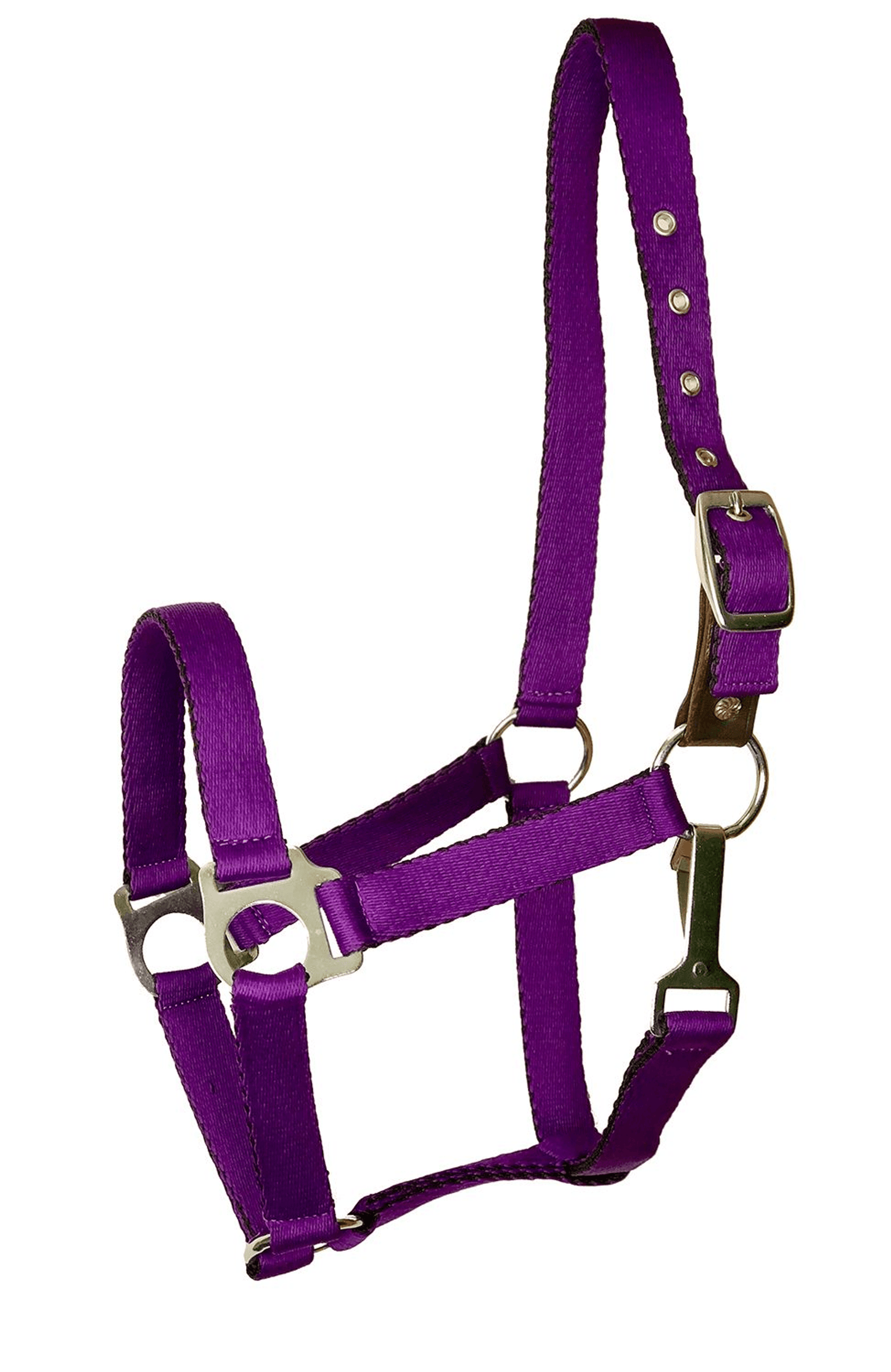 Gatsby Ultra Soft Safety Halter with Breakaway Leather Feature