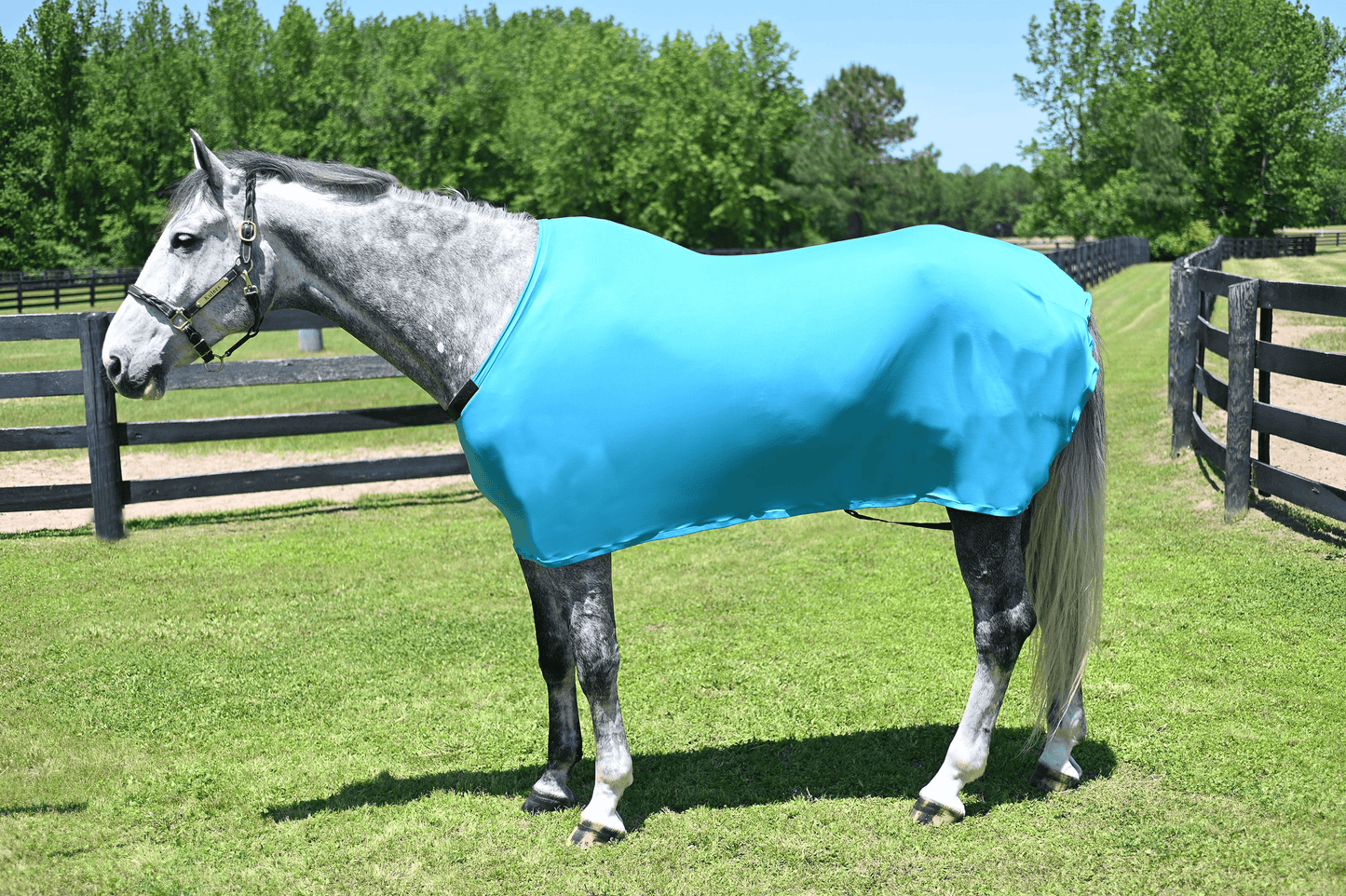 Gatsby Lycra Full Sheet for Horses