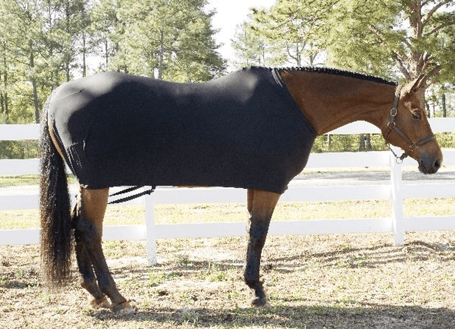 Gatsby Lycra Full Sheet for Horses