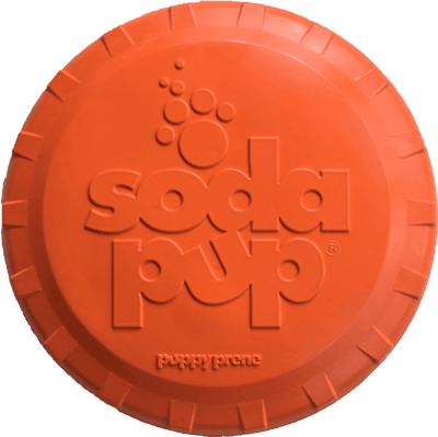 Durable Rubber Bottle Top Flyer for Dogs