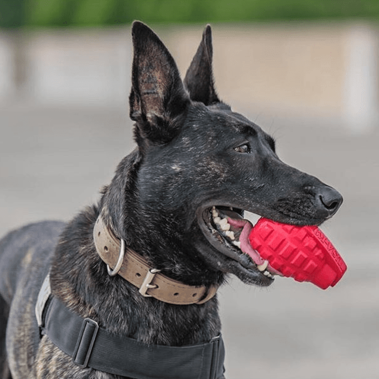 USA-K9 Grenade Durable Chew Toy & Treat Dispenser for Power Chewers