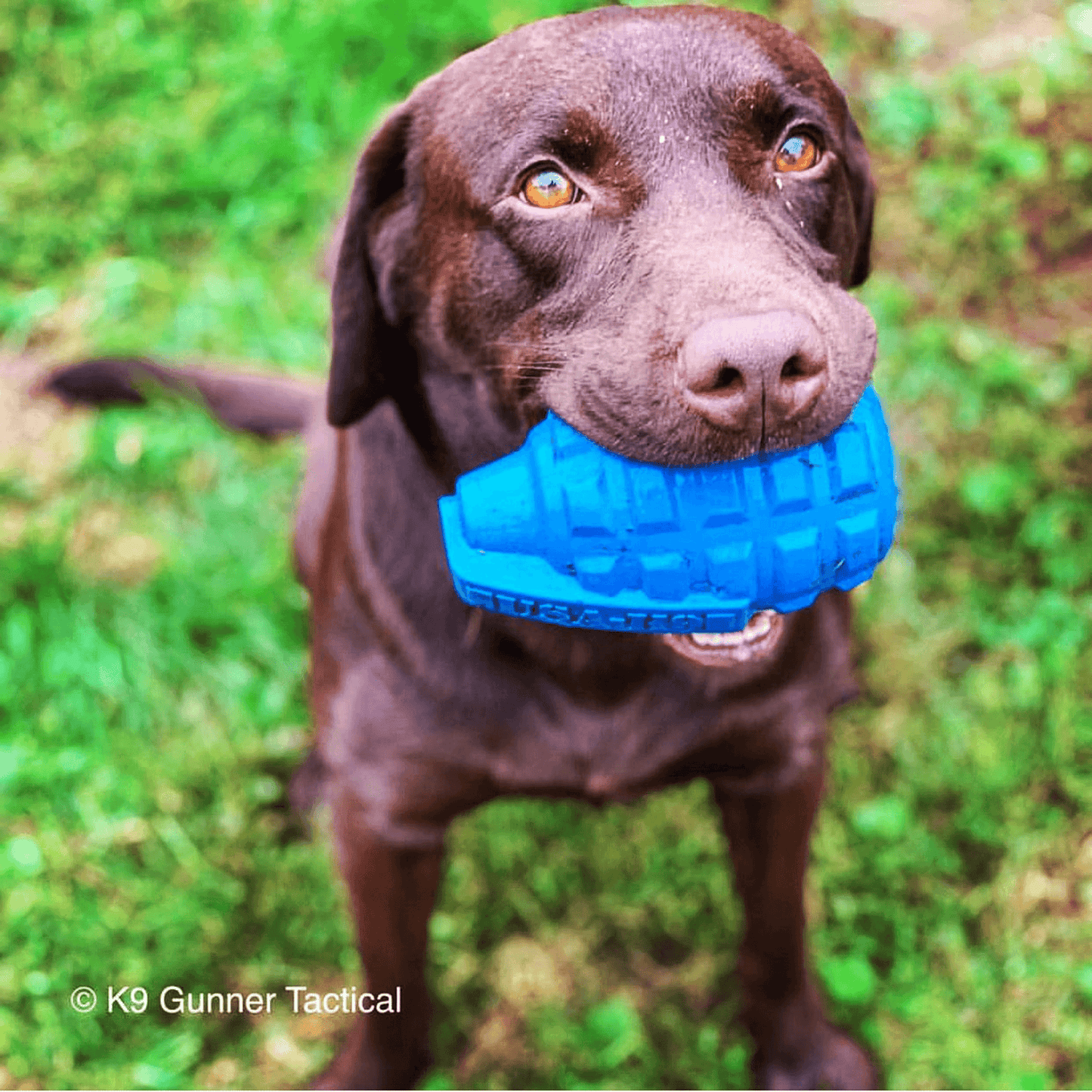 USA-K9 Grenade Durable Chew Toy & Treat Dispenser for Power Chewers