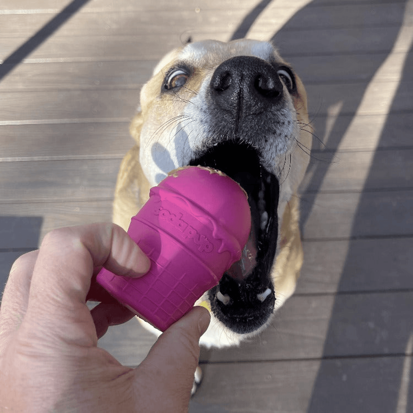 Durable Ice Cream Cone Chew Toy and Treat Dispenser for Dogs