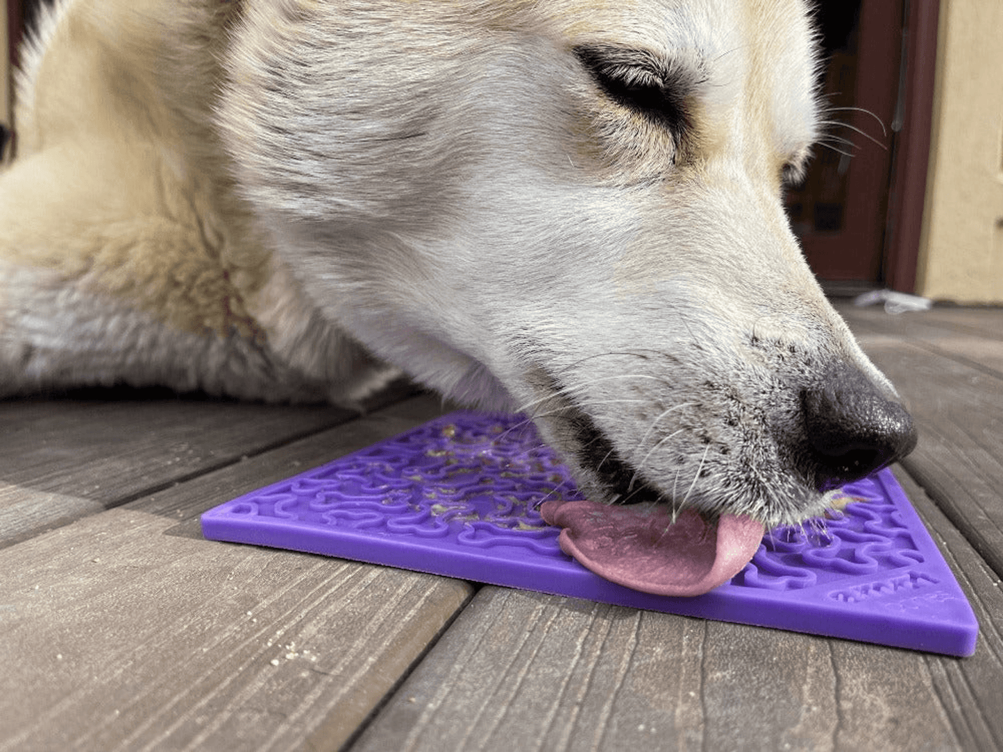 Bones Design Enrichment Lick Mat for Dogs