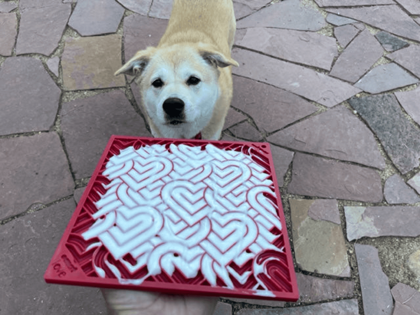 Heart Design Dog Lick Mat for Enrichment