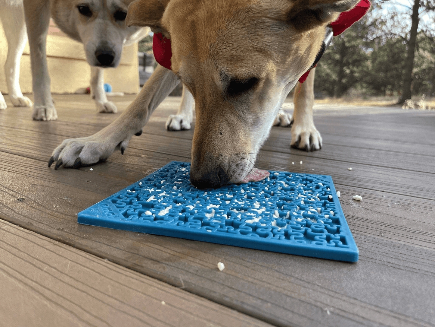 Jigsaw Design Enrichment Lick Mat for Dogs