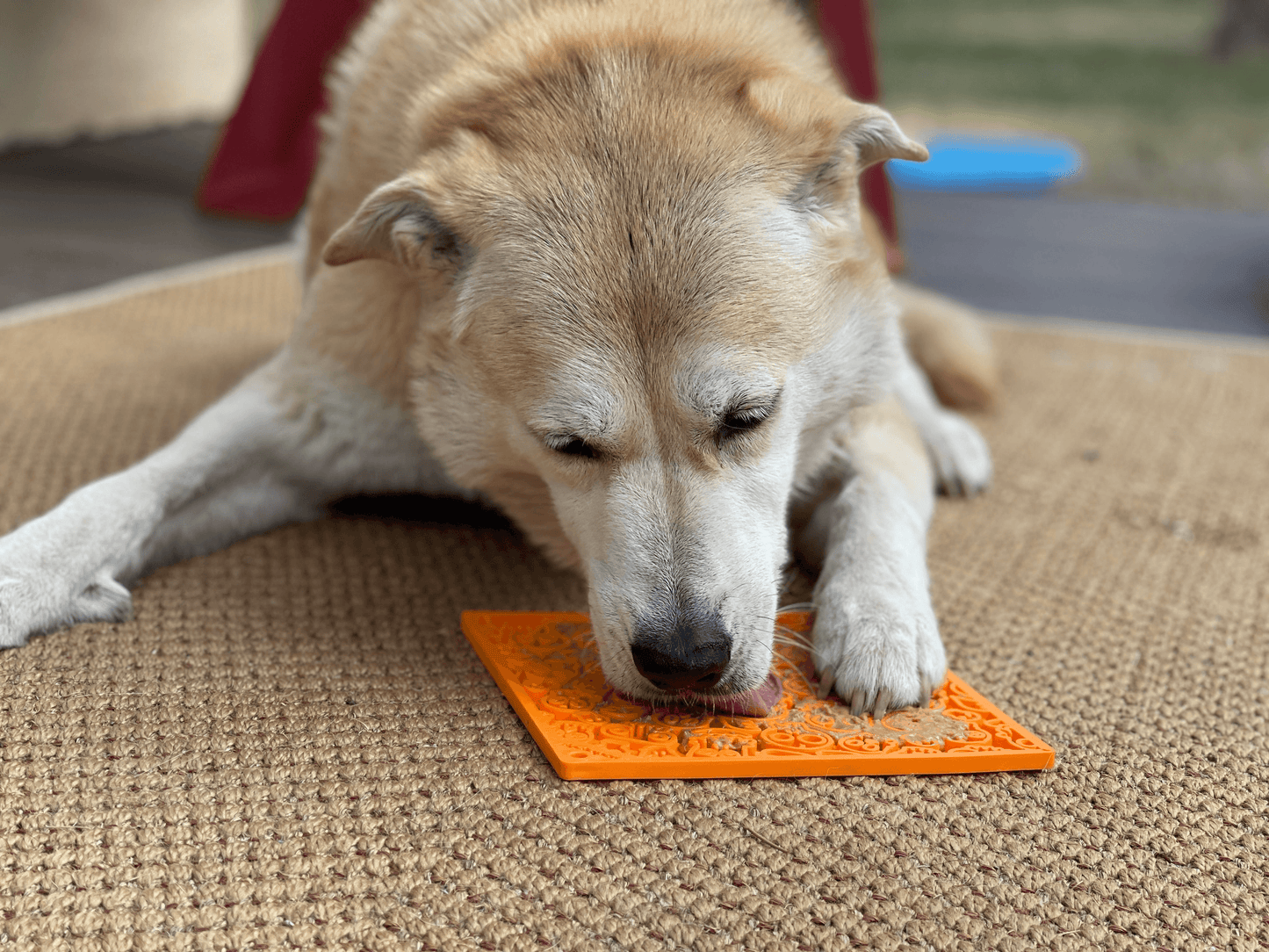 Zombie Design Enrichment Lick Mat for Dogs