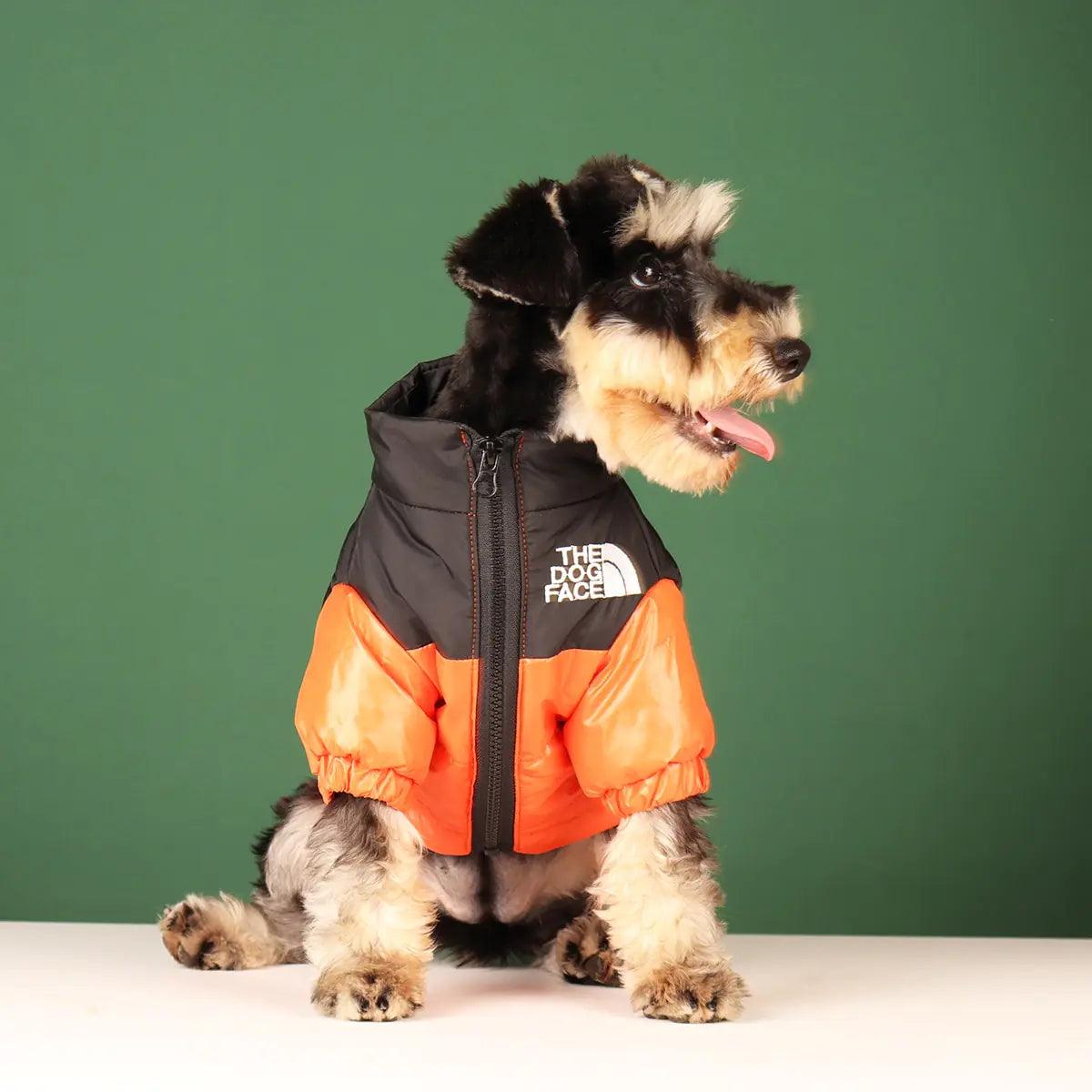 Windproof Winter Dog Jacket: Elegant Cold-Weather Attire for Various Breeds