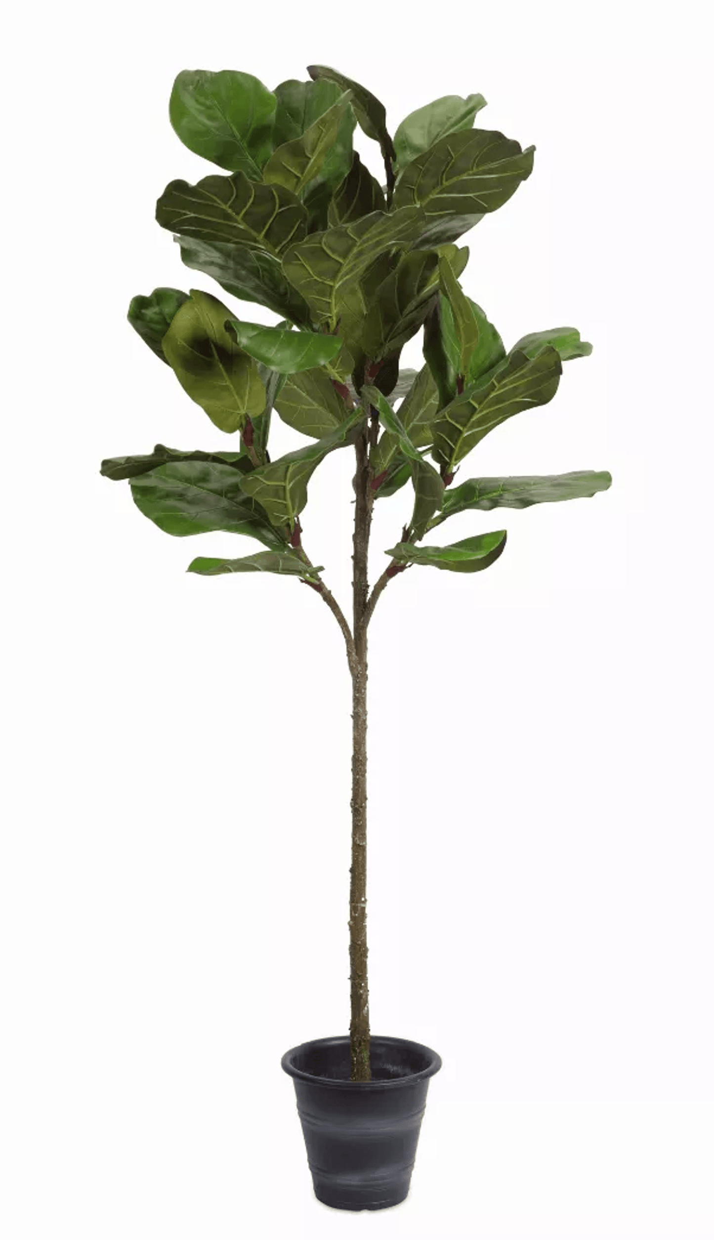 Realistic 5'H Potted Fiddle Leaf Fig In Polyester